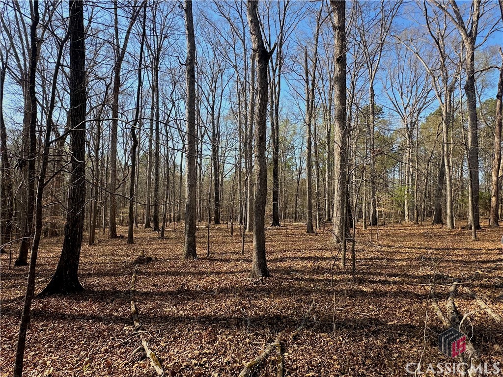 Lot 4 Tall Oaks Road