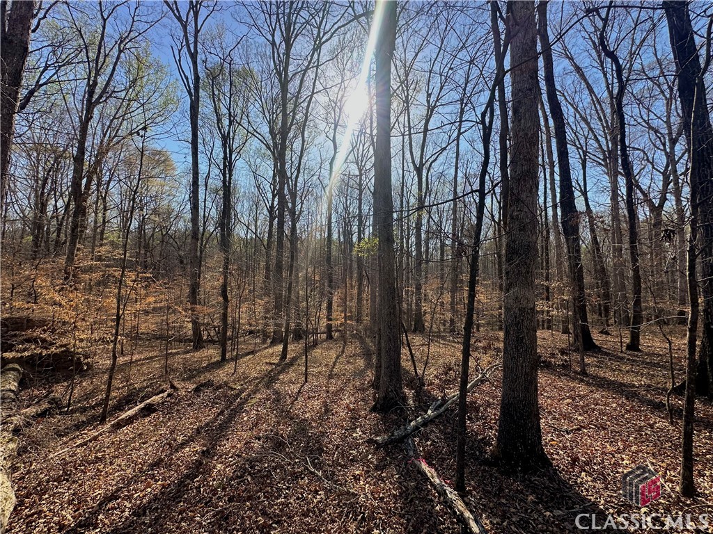 Lot 4 Tall Oaks Road