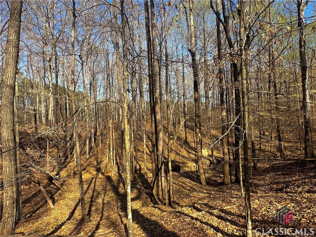 Lot 4 Tall Oaks Road