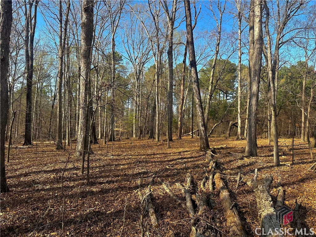 Lot 4 Tall Oaks Road