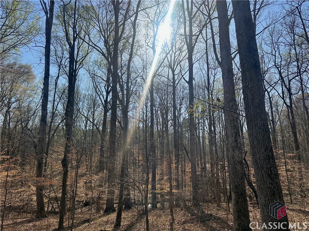 Lot 4 Tall Oaks Road