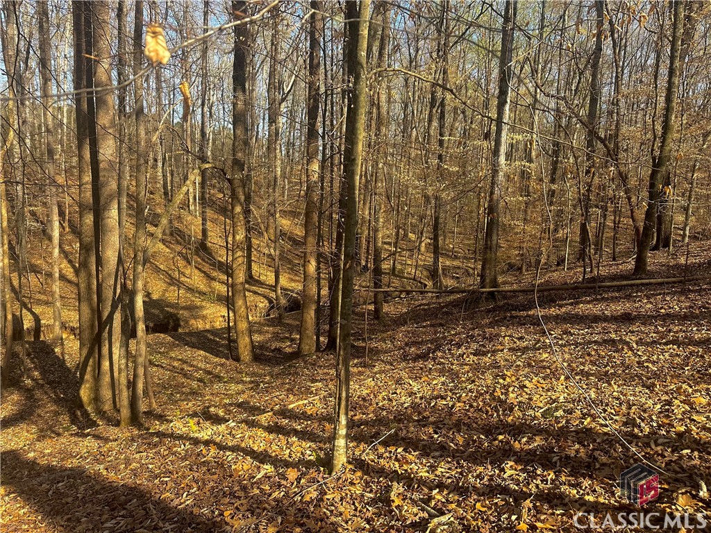 Lot 4 Tall Oaks Road