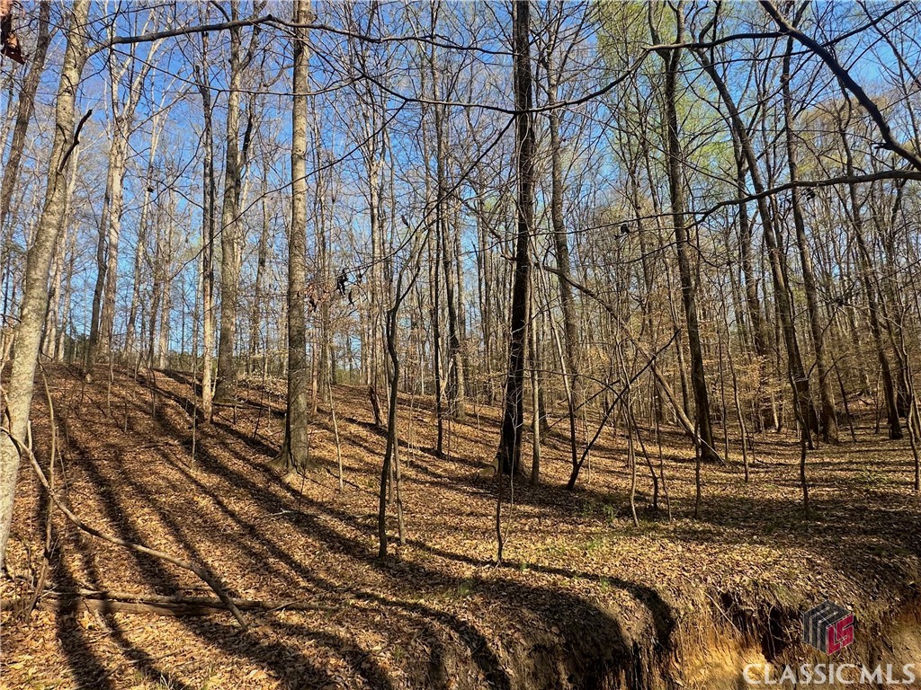 Lot 4 Tall Oaks Road