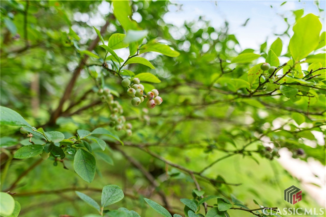 1061 Calls Creek Drive