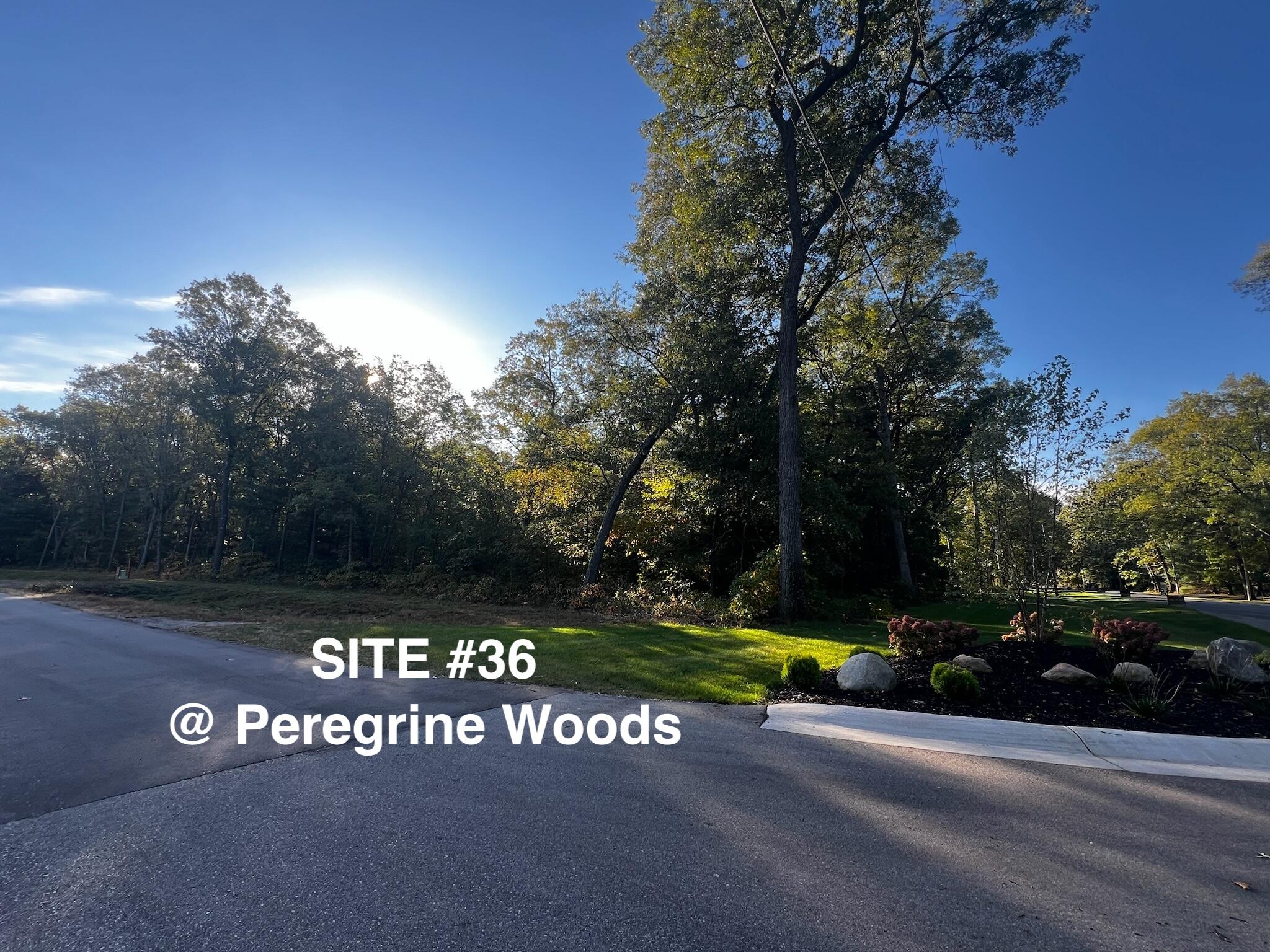 6001 Savannah Way #36