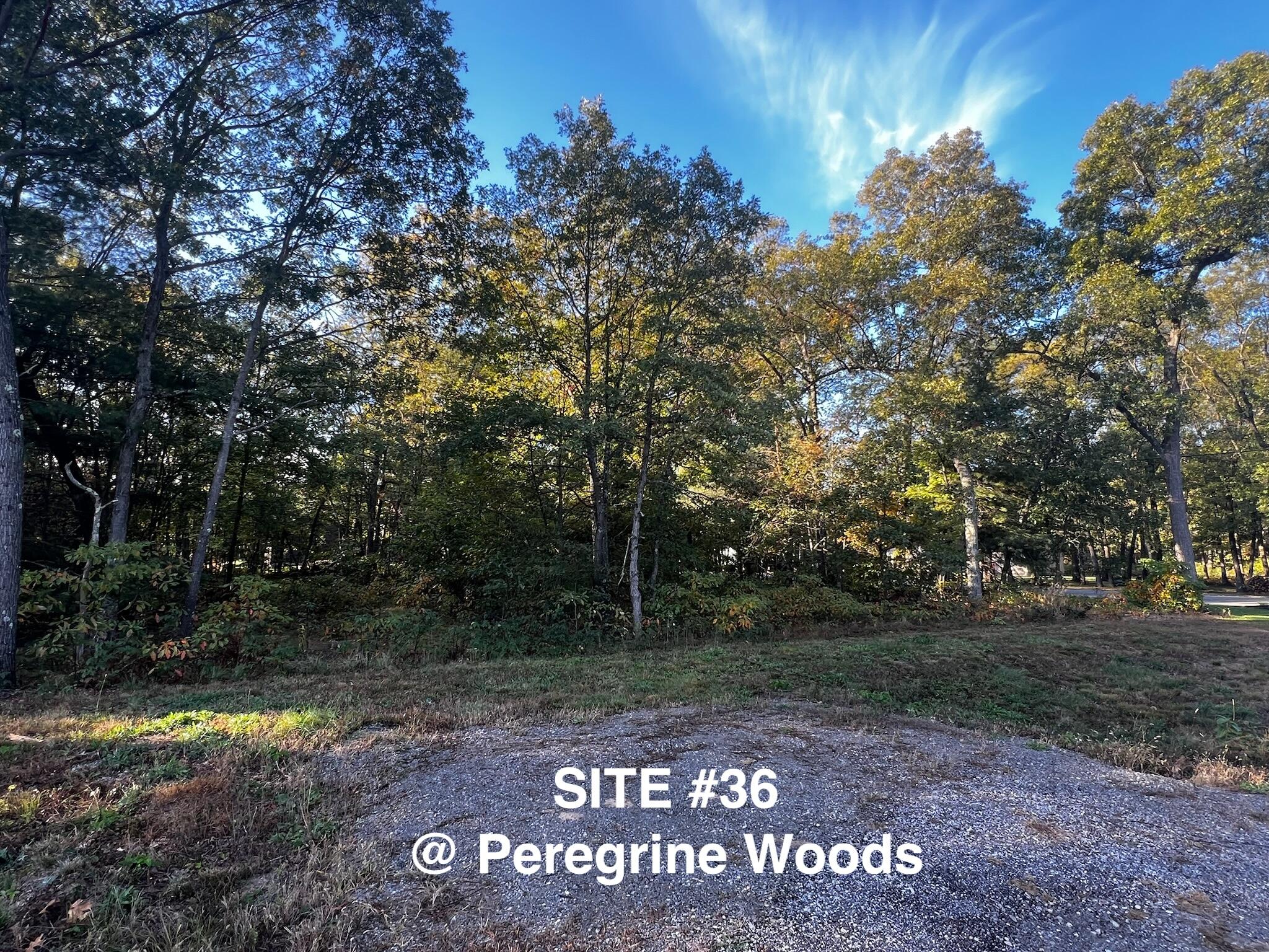 6001 Savannah Way #36