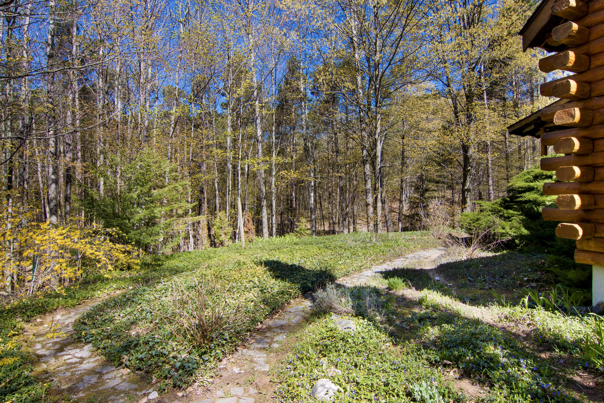 151 S Crestwood Drive