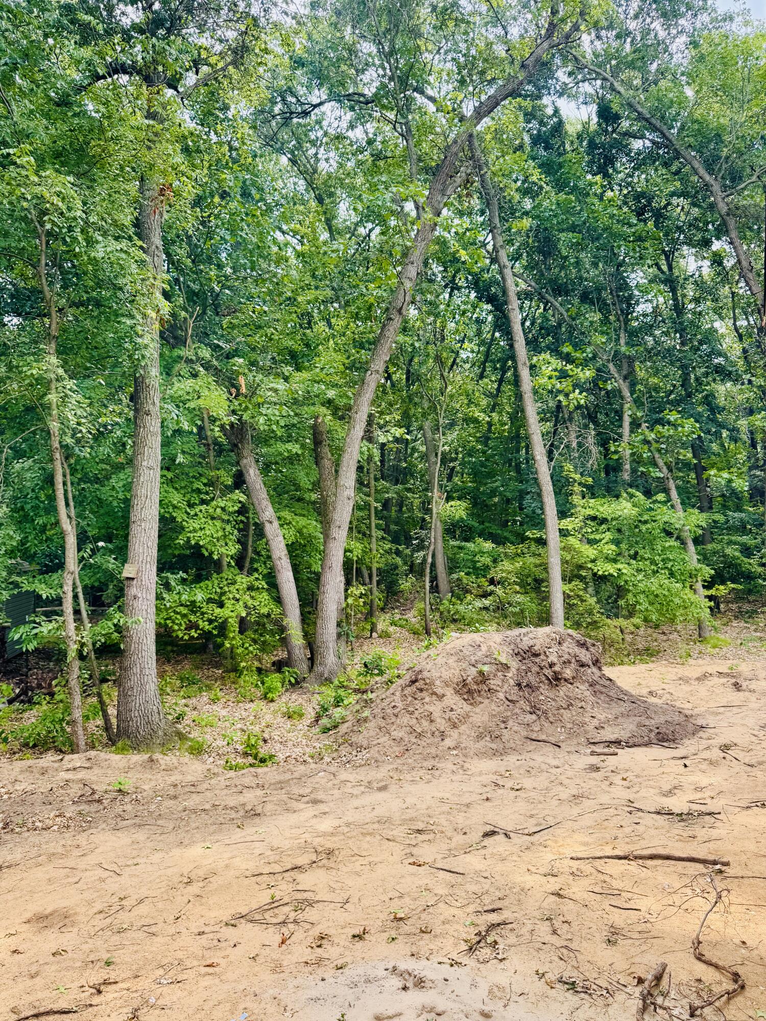 324 Hazelwood Court