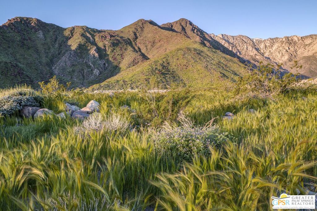 Rugged mountains rise behind sunlit grasses and rocks.