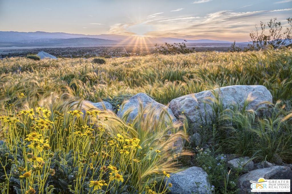 Valley and distant mountains at sunset beyond wildflowers, grasses, and foreground boulders.