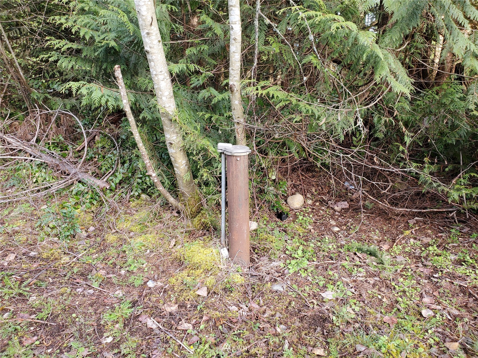 25422 157th Street E