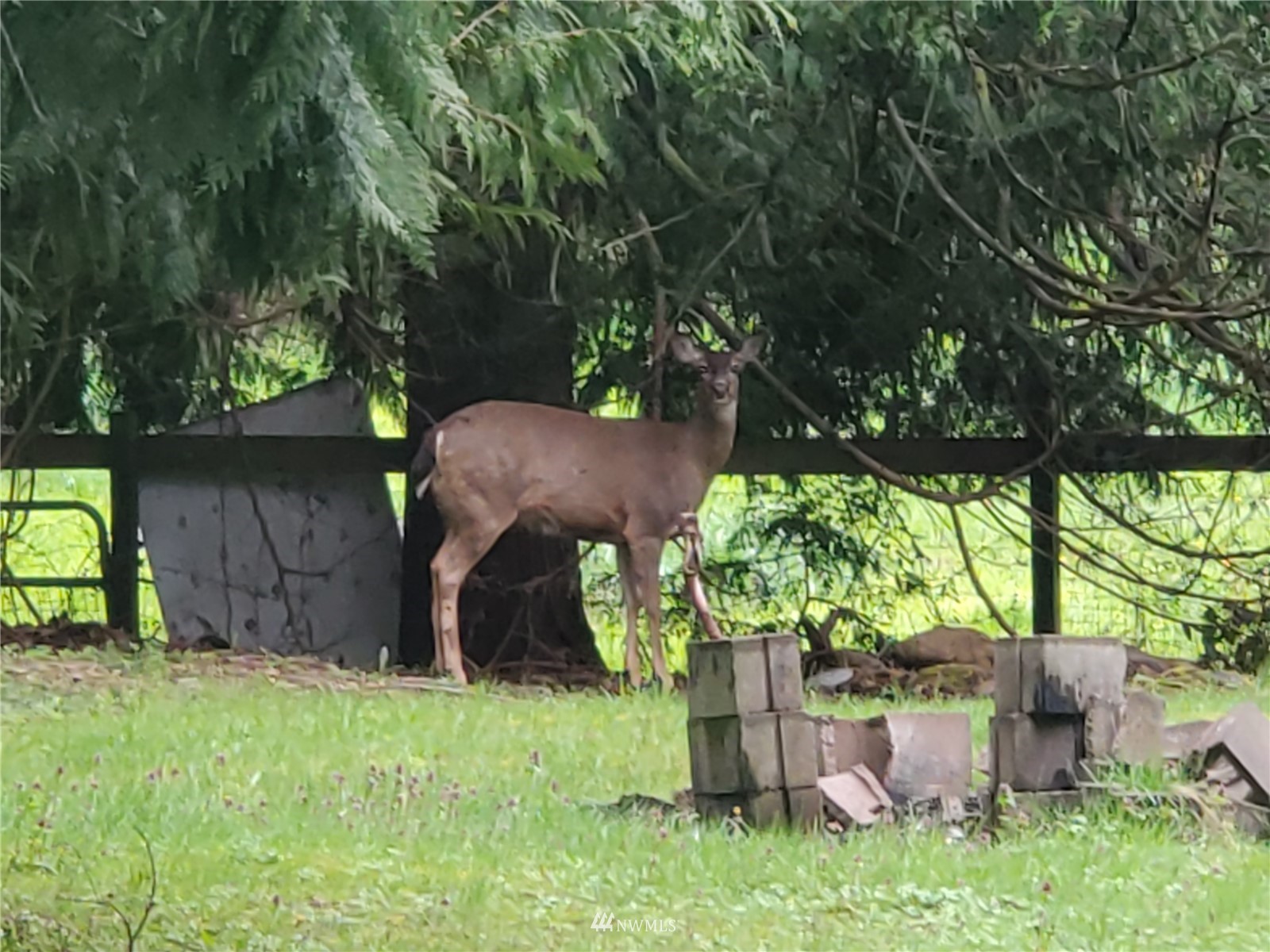 25422 157th Street E