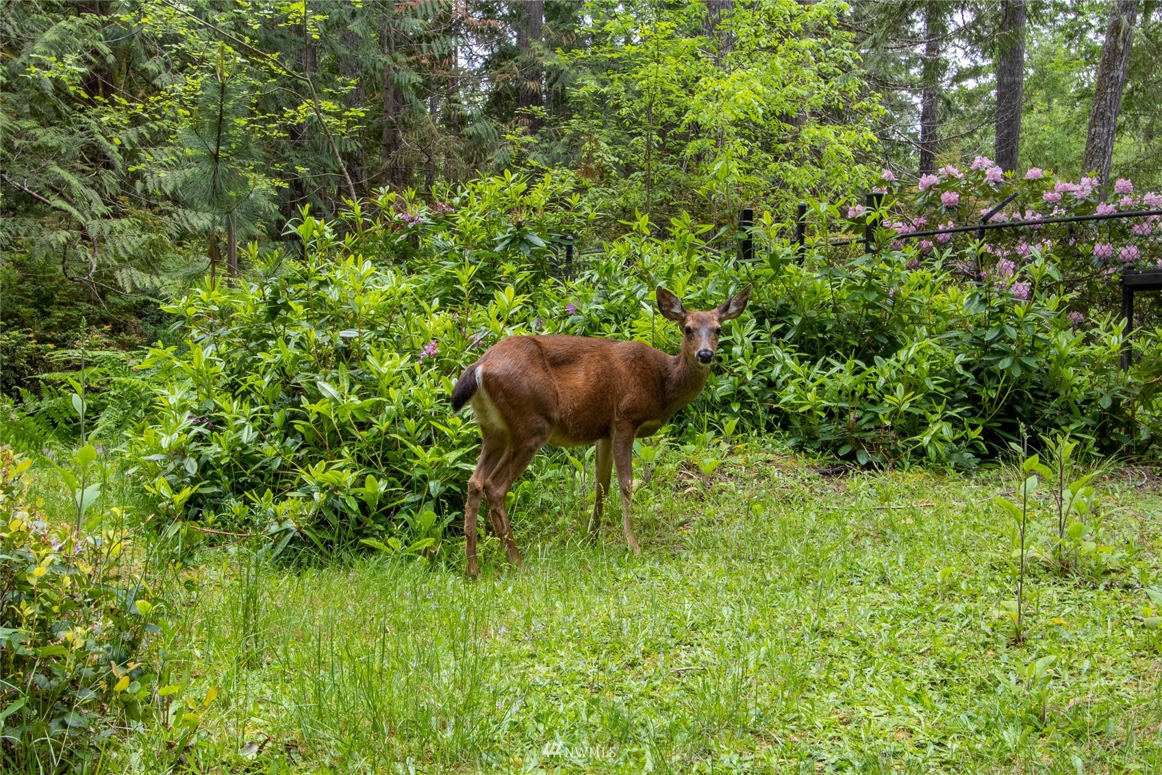 453 E Chesapeake Drive