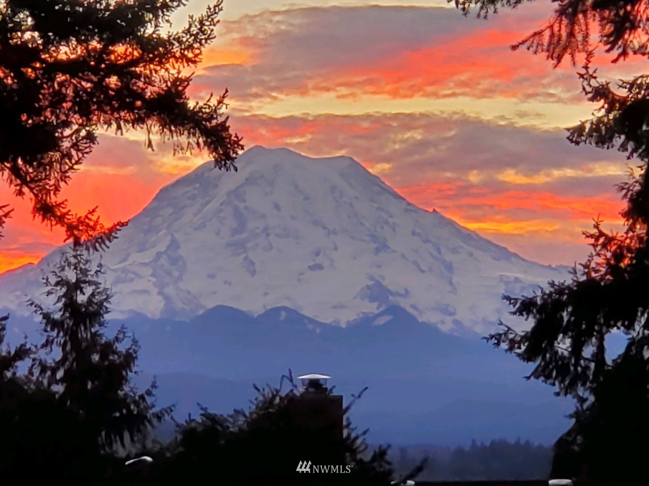 13010 133rd Avenue Ct E