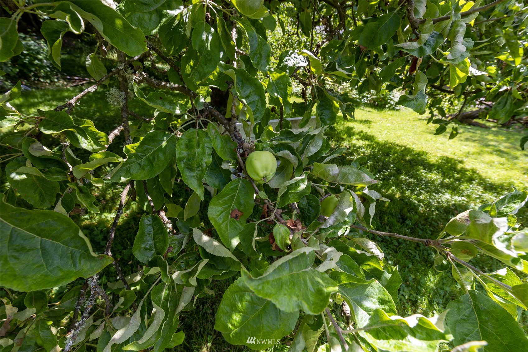 0 XXXXX Marine View Drive SW