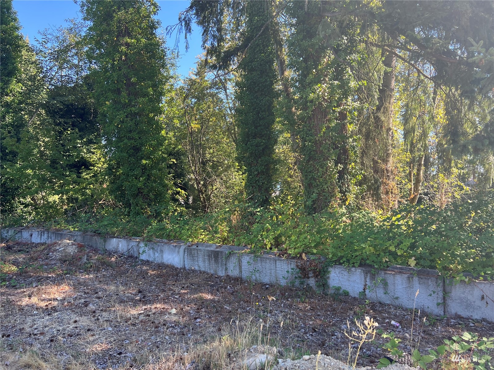 15808 81st Avenue E #87, -6859 Unit: 87