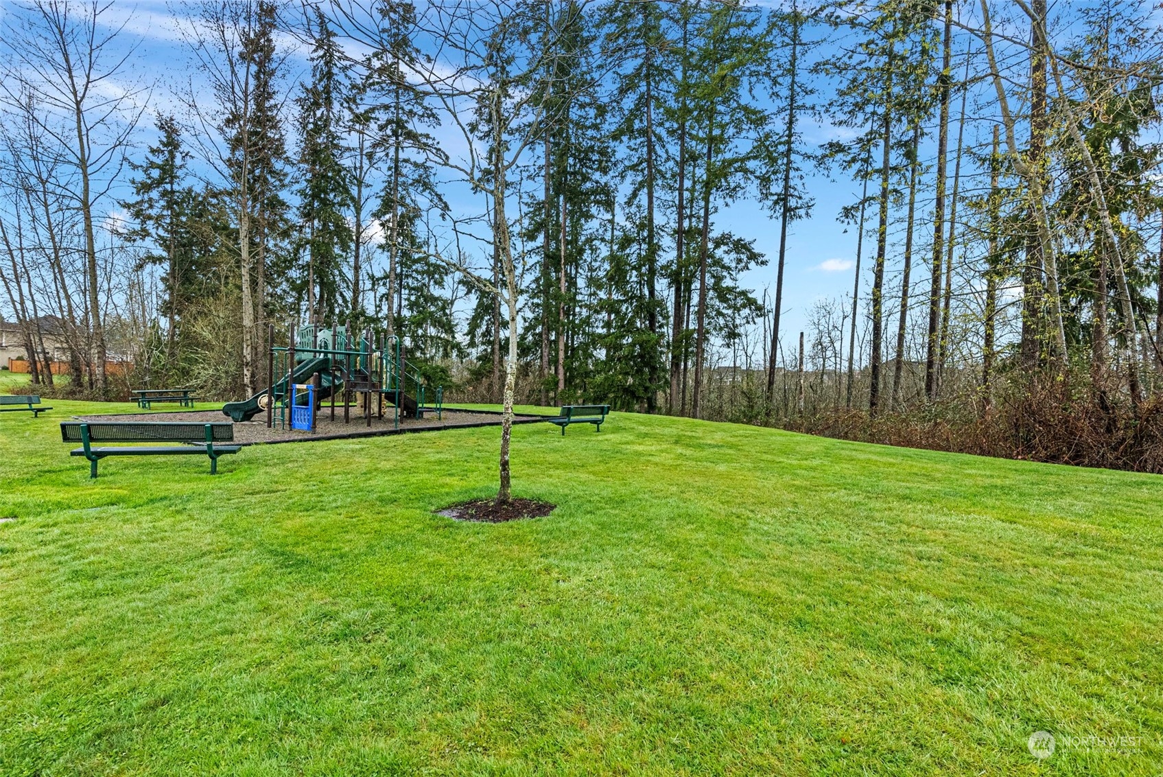 16911 138th Avenue E