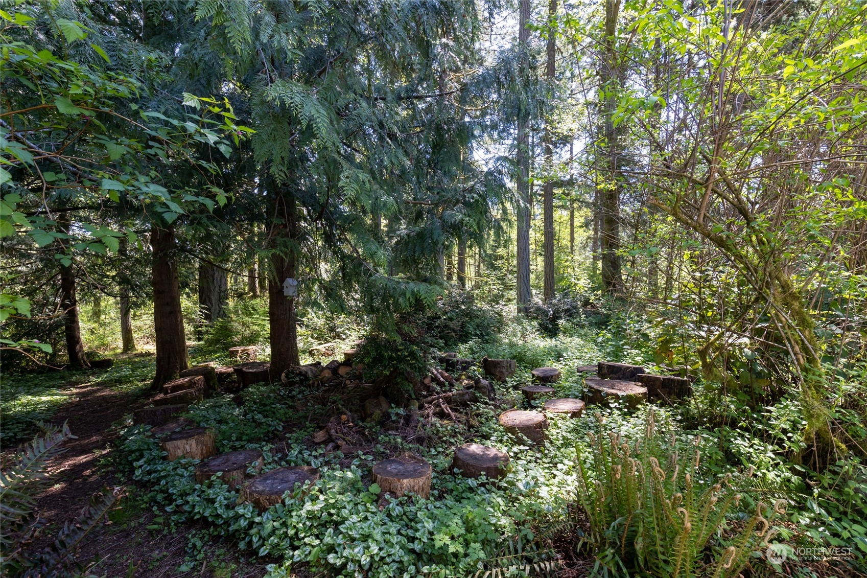 17702 Commons Road SW