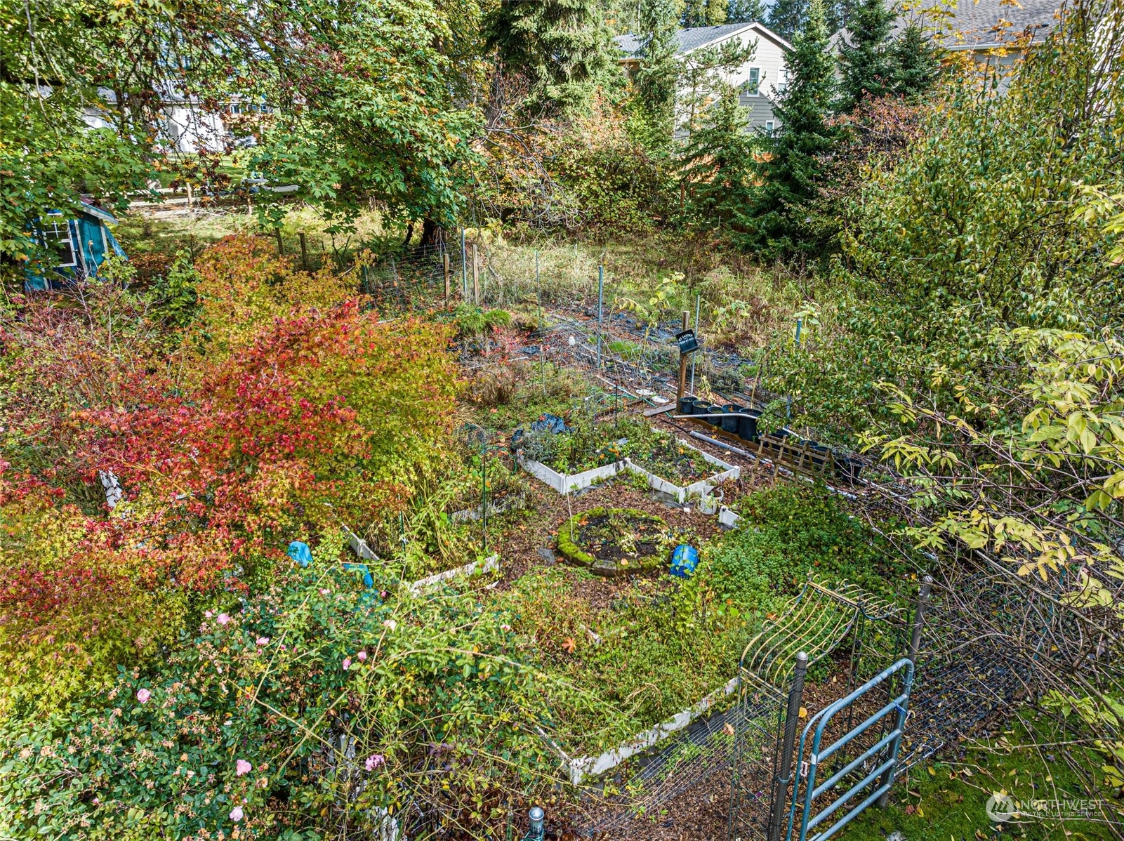 17011 126th Avenue E