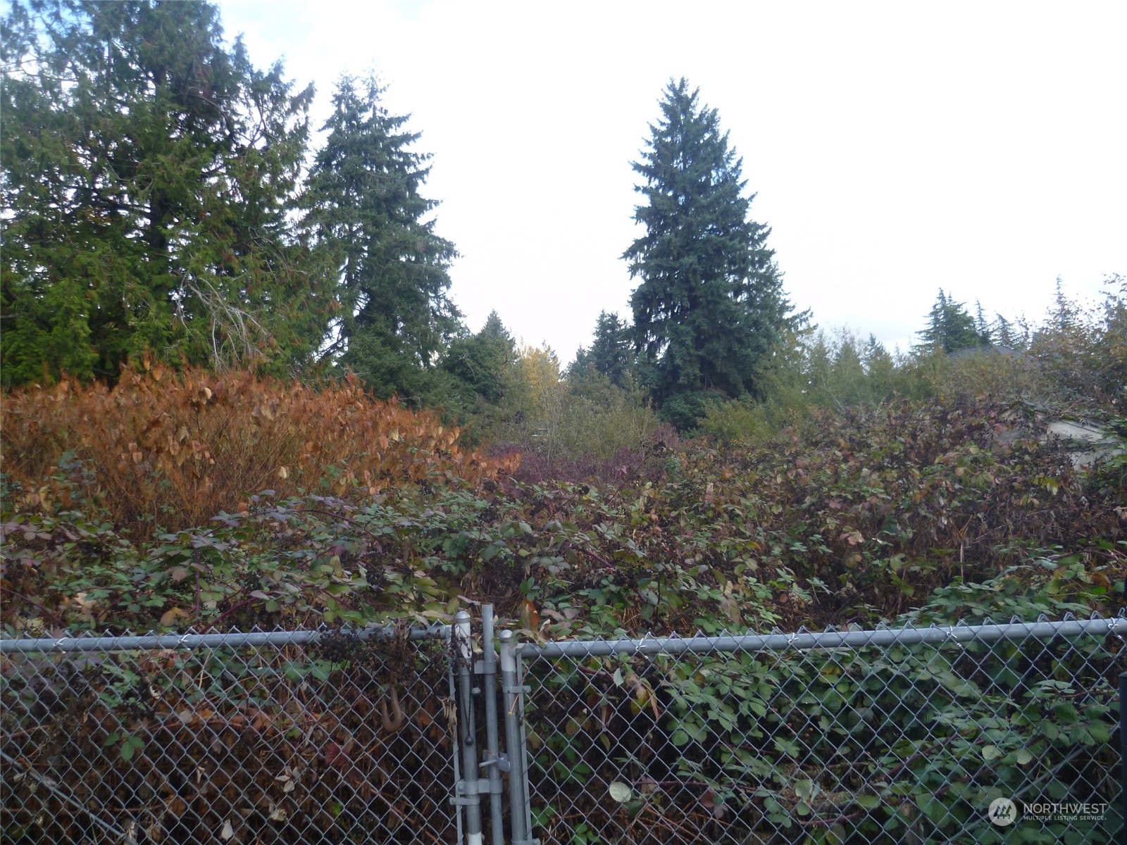 4452 S Star Lake Road