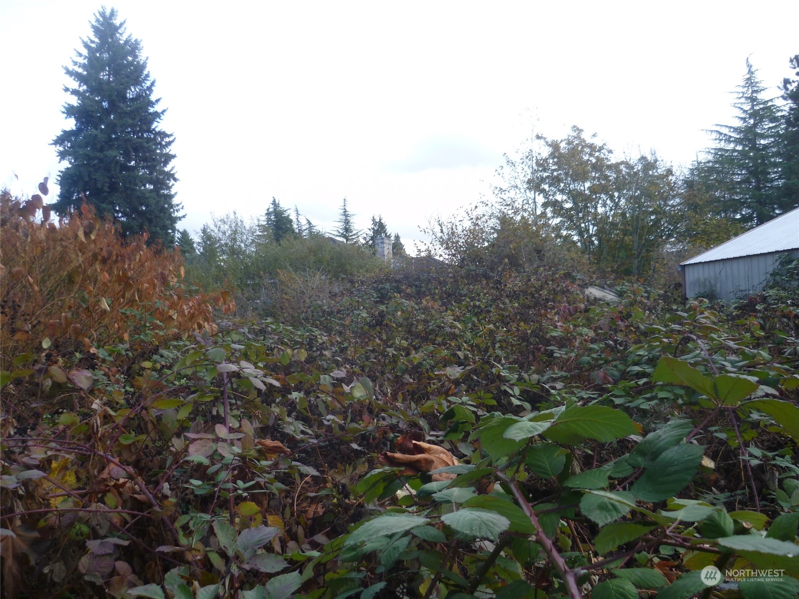 4452 S Star Lake Road