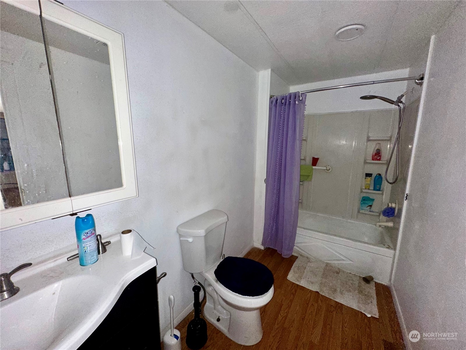 11510 199th Avenue Ct E