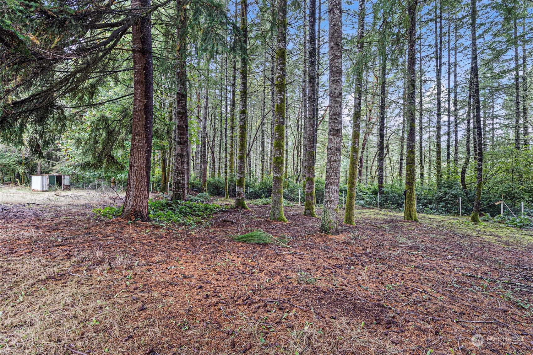 7220 179th Street NW