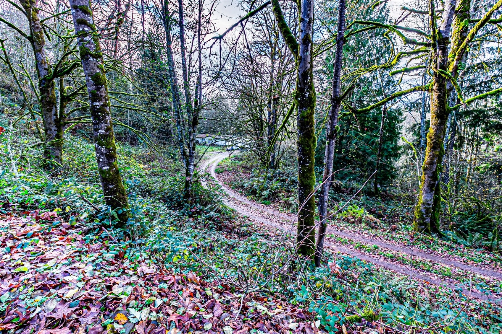 22902 Keating Road E