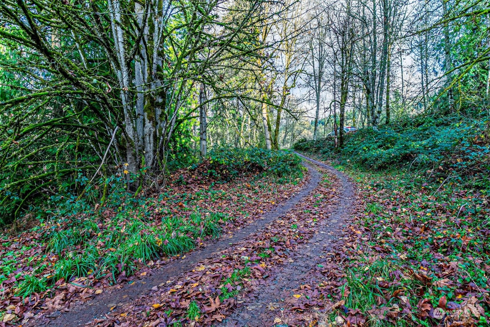 22902 Keating Road E