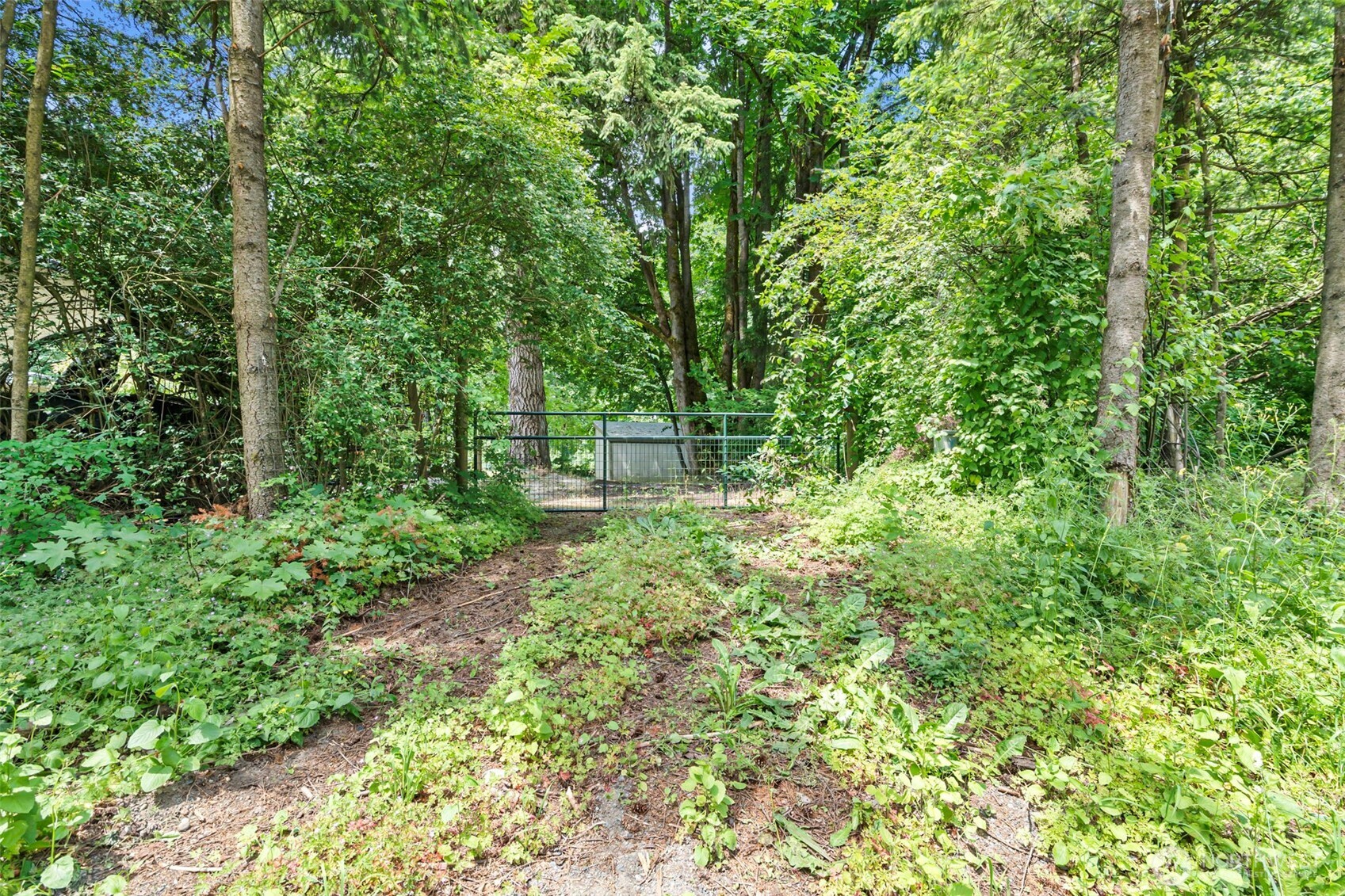 39429 264th Avenue SE