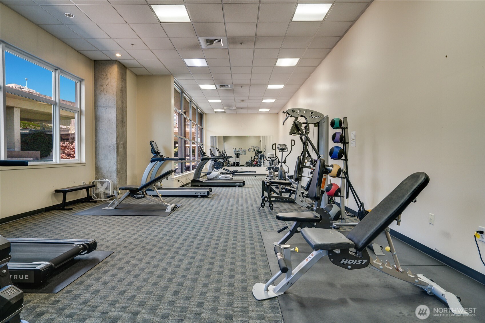 1515 Dock Street Unit: 306