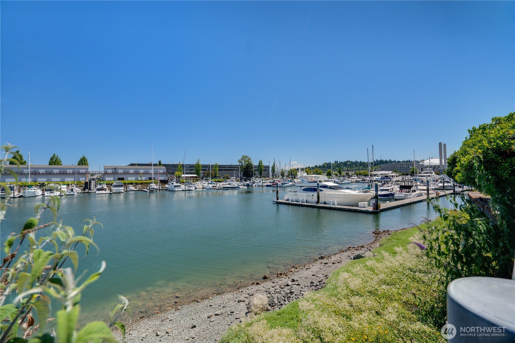 1515 Dock Street Unit: 306