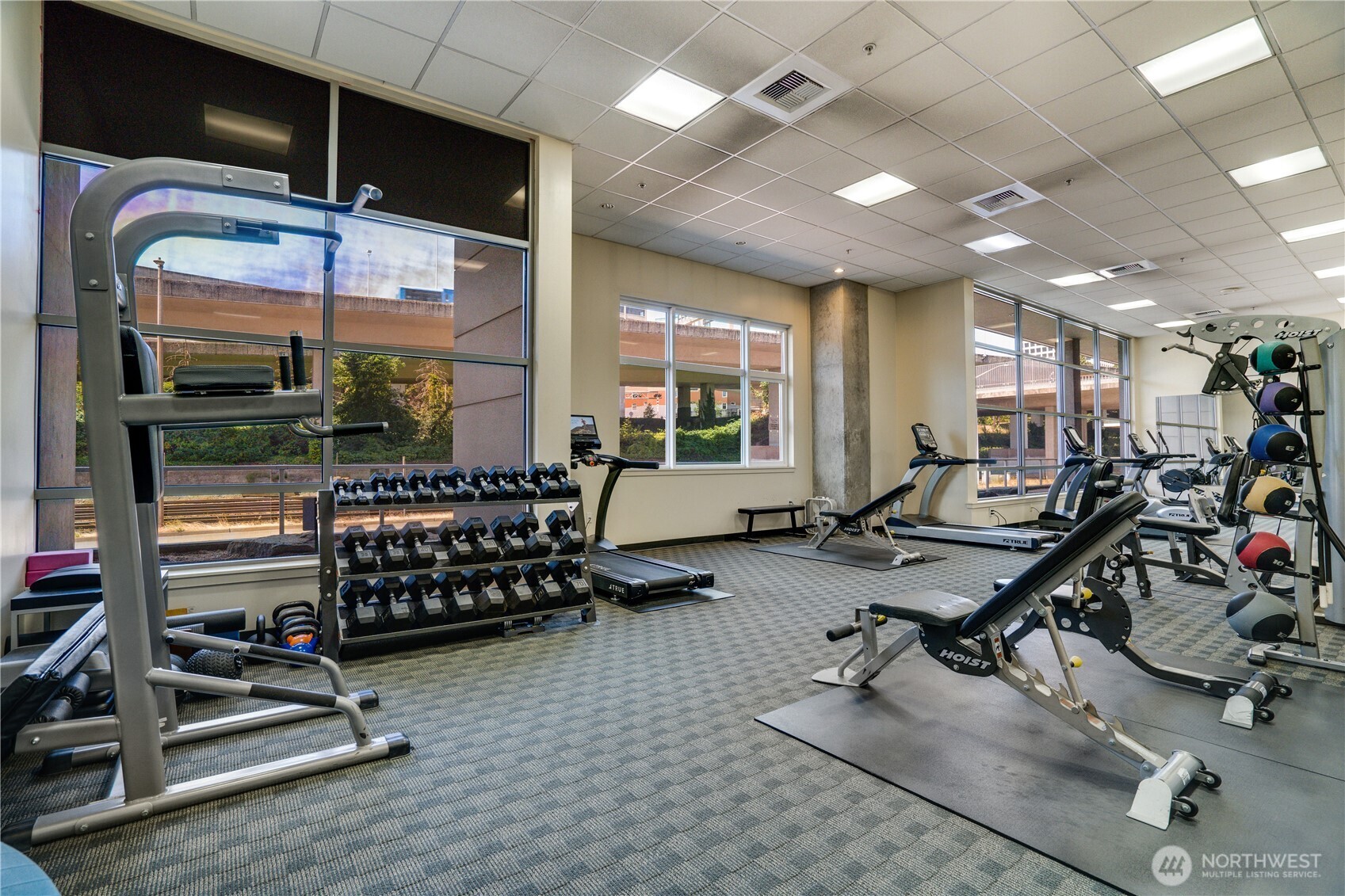 1515 Dock Street Unit: 306