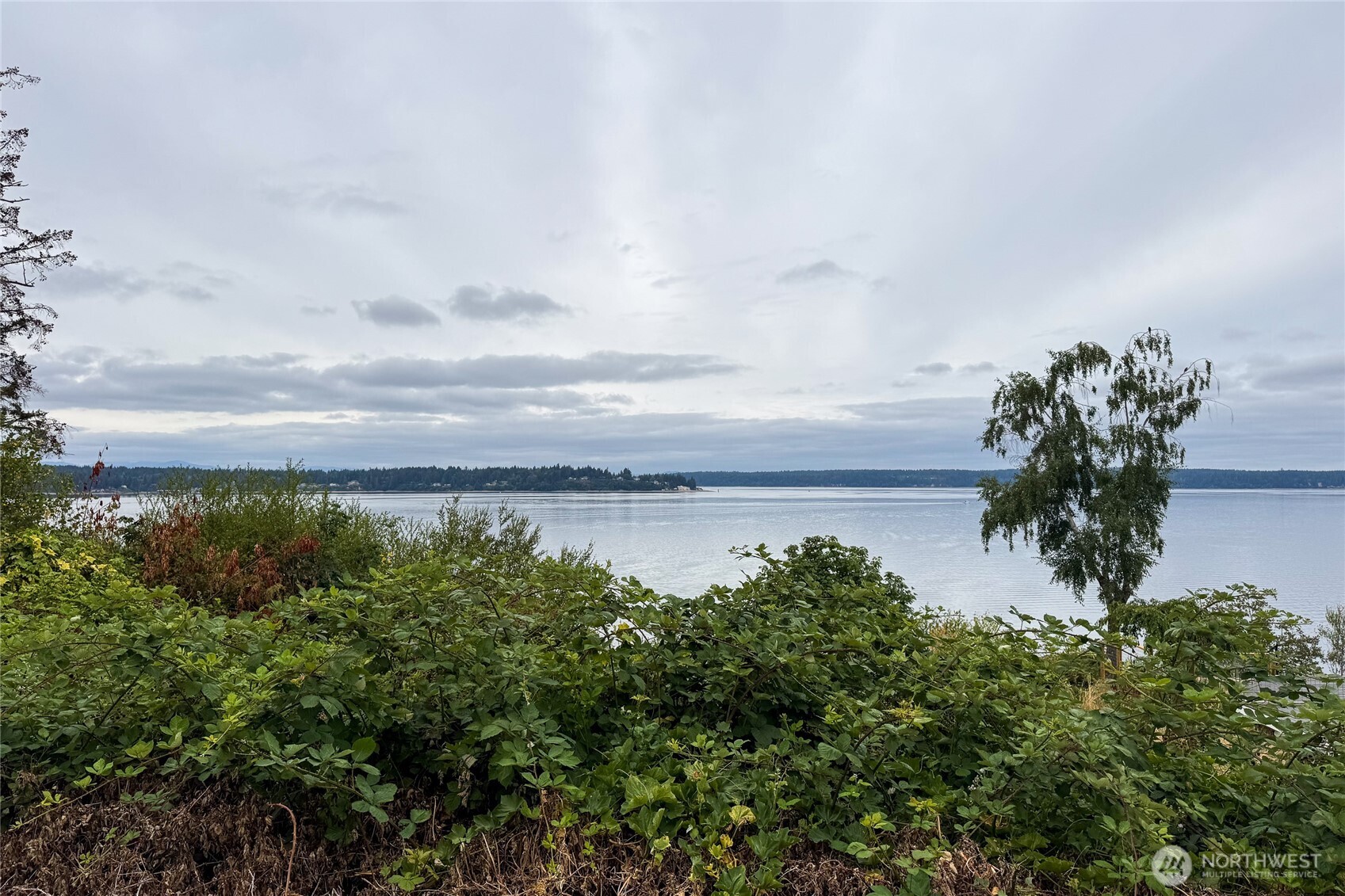 8215 176th Avenue Ct SW