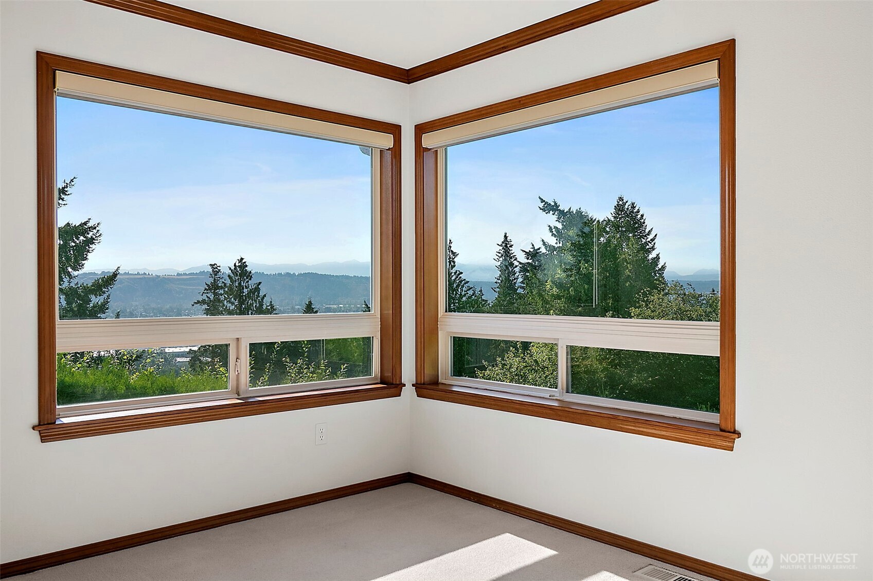 5101 131st Avenue Ct E