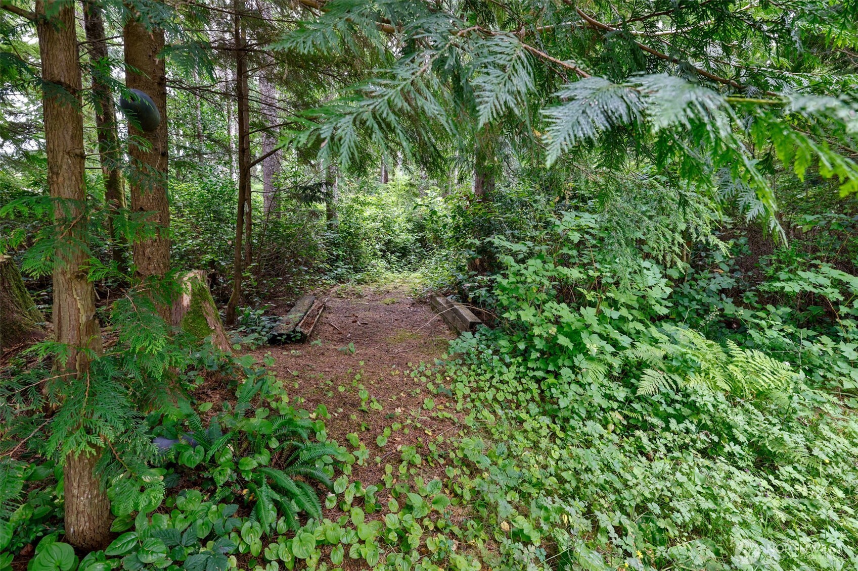 2548 Evergreen Park Road