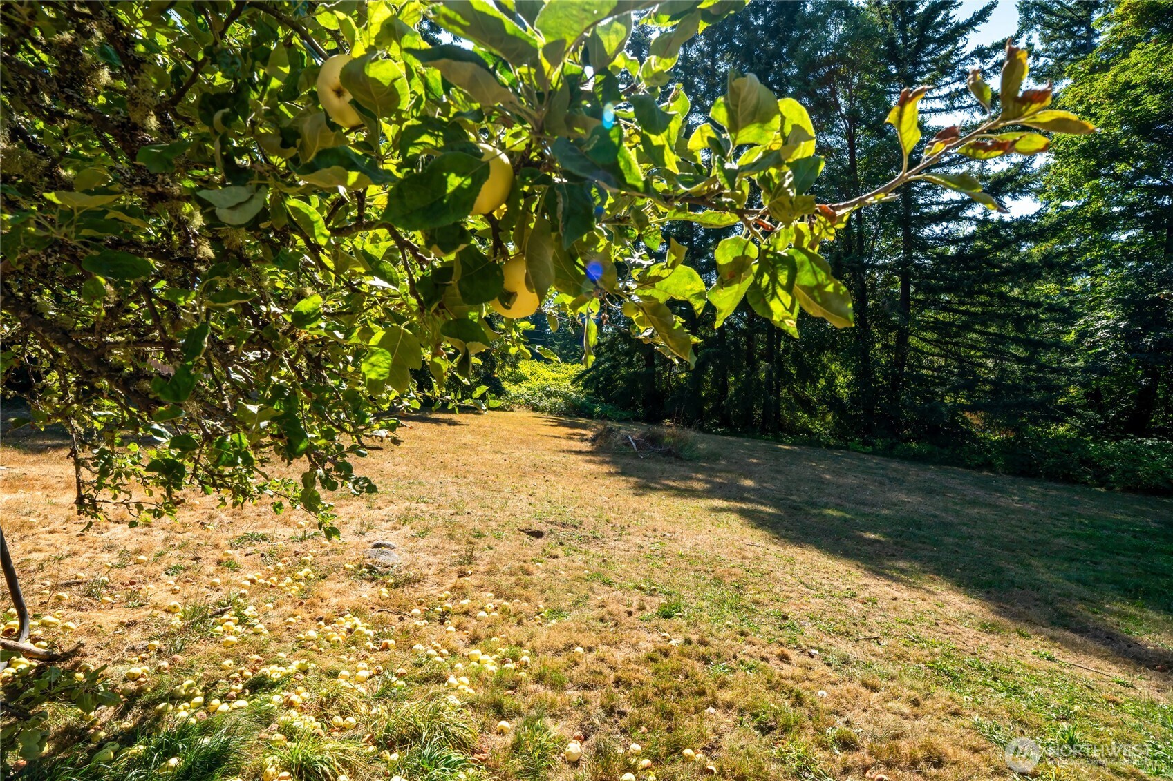 4010 SE Lovell Street