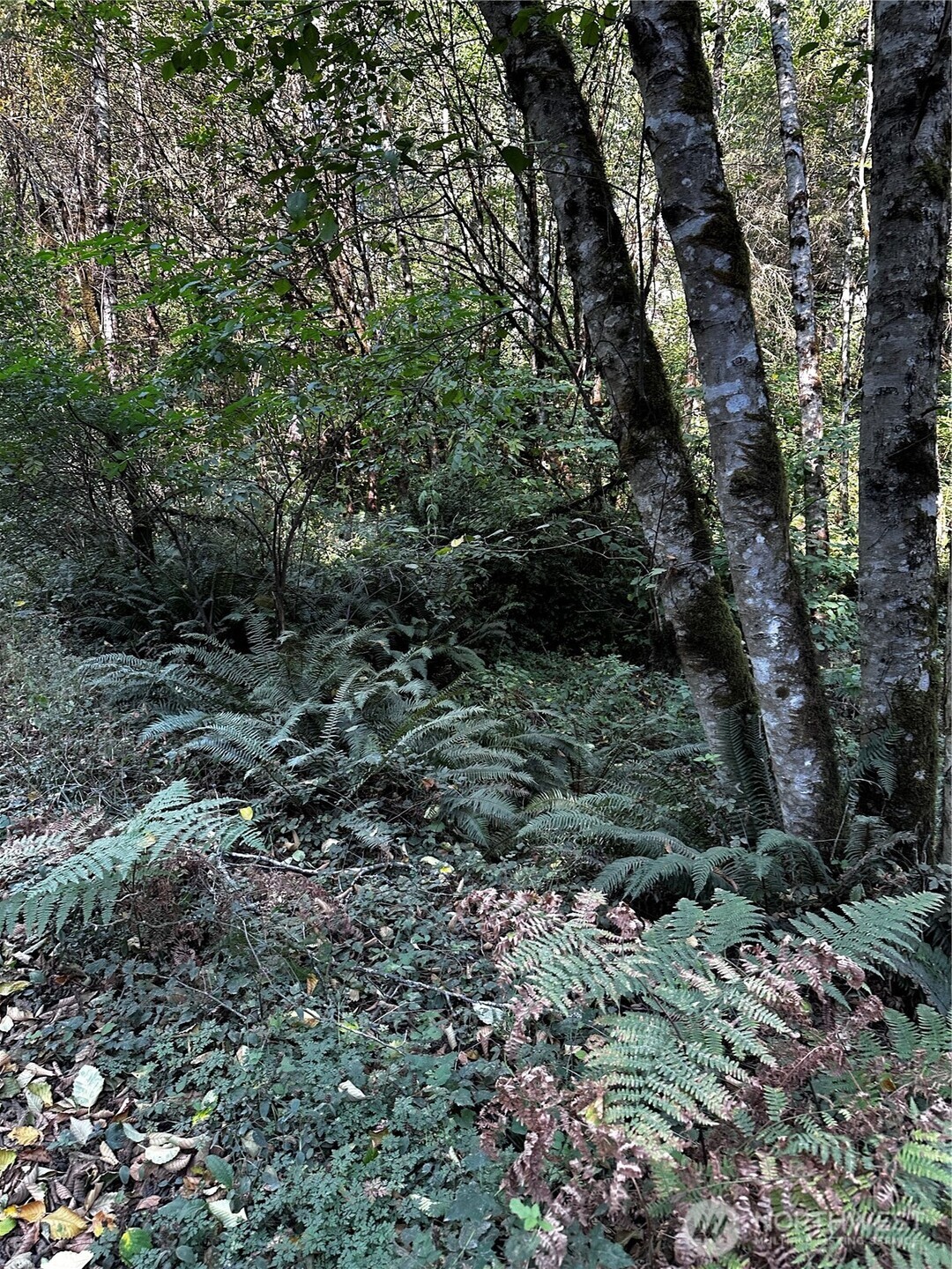 14413 109th Street SW