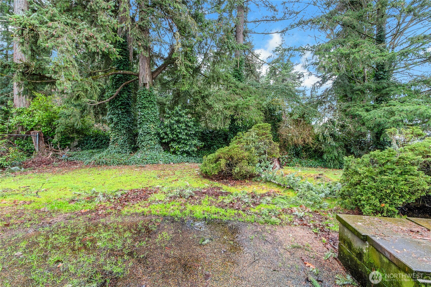 8214 Woodbourne Drive SW