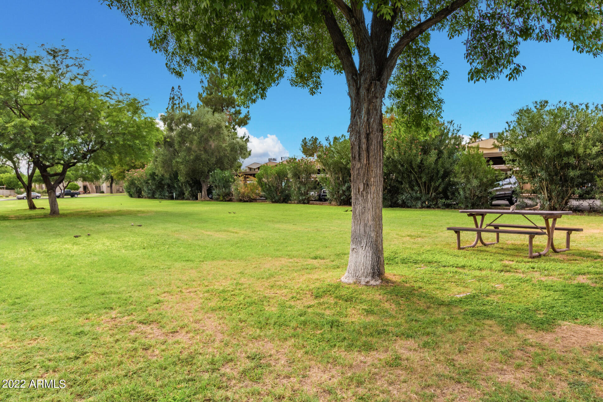815 N HAYDEN Road Unit: D208