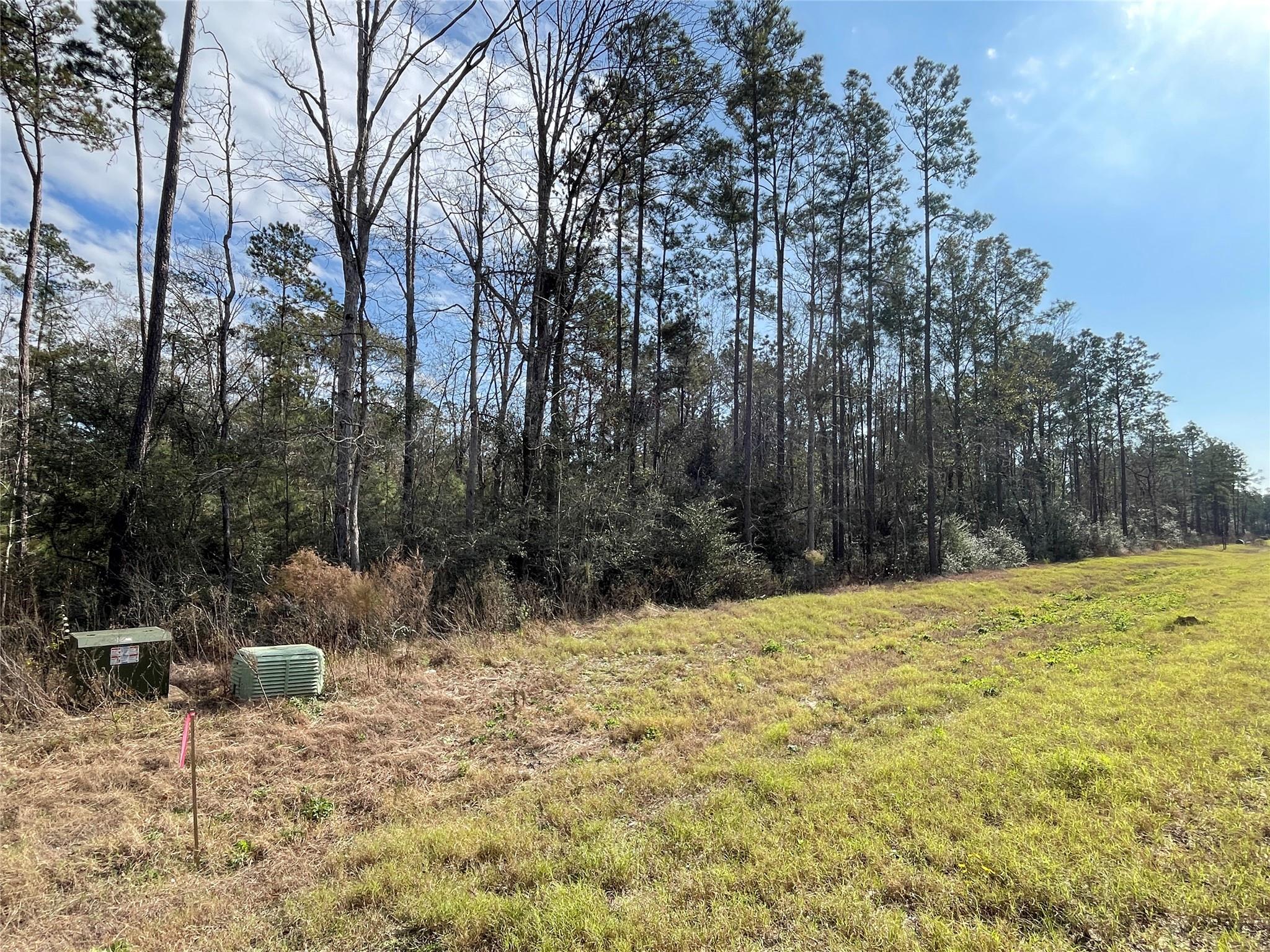 10733 Ruger Road