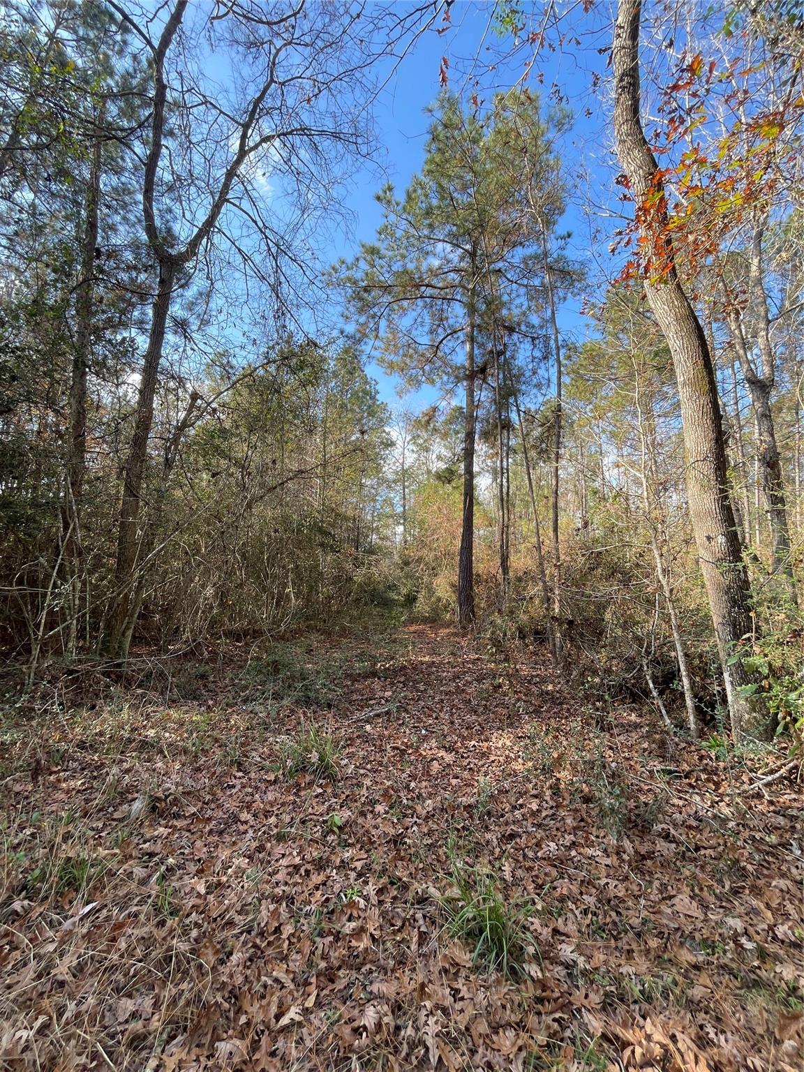 10733 Ruger Road