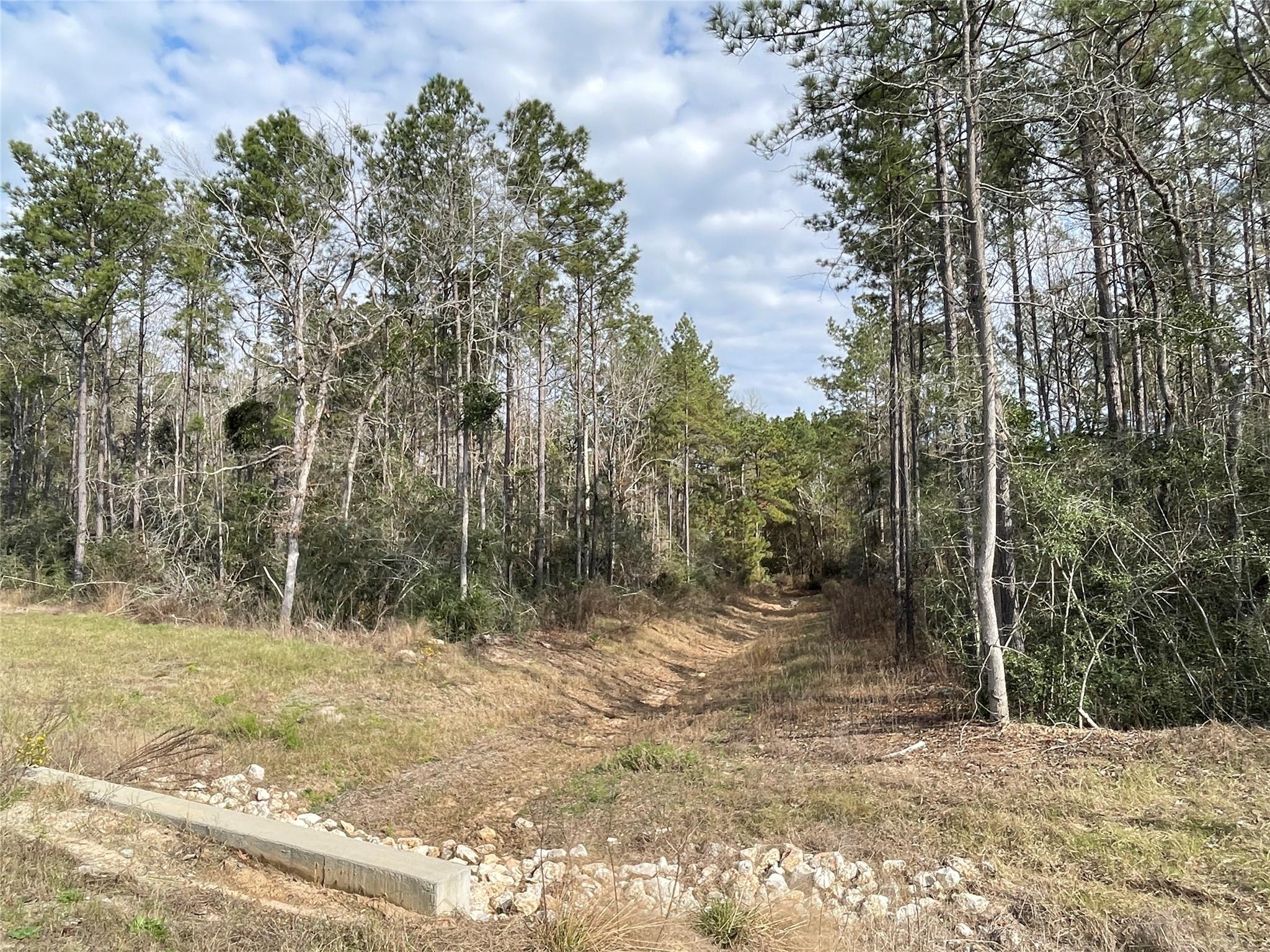 10733 Ruger Road