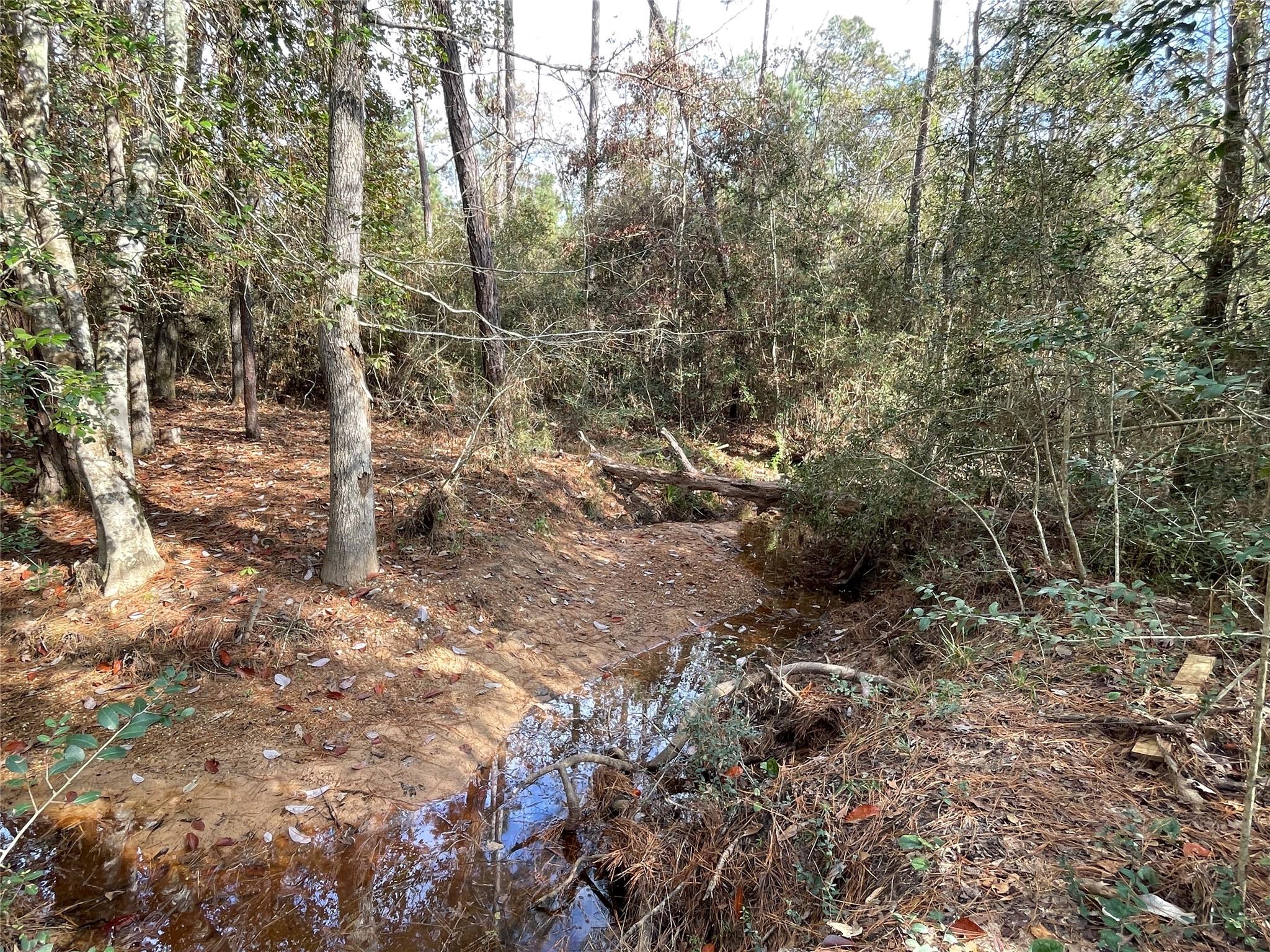 10733 Ruger Road