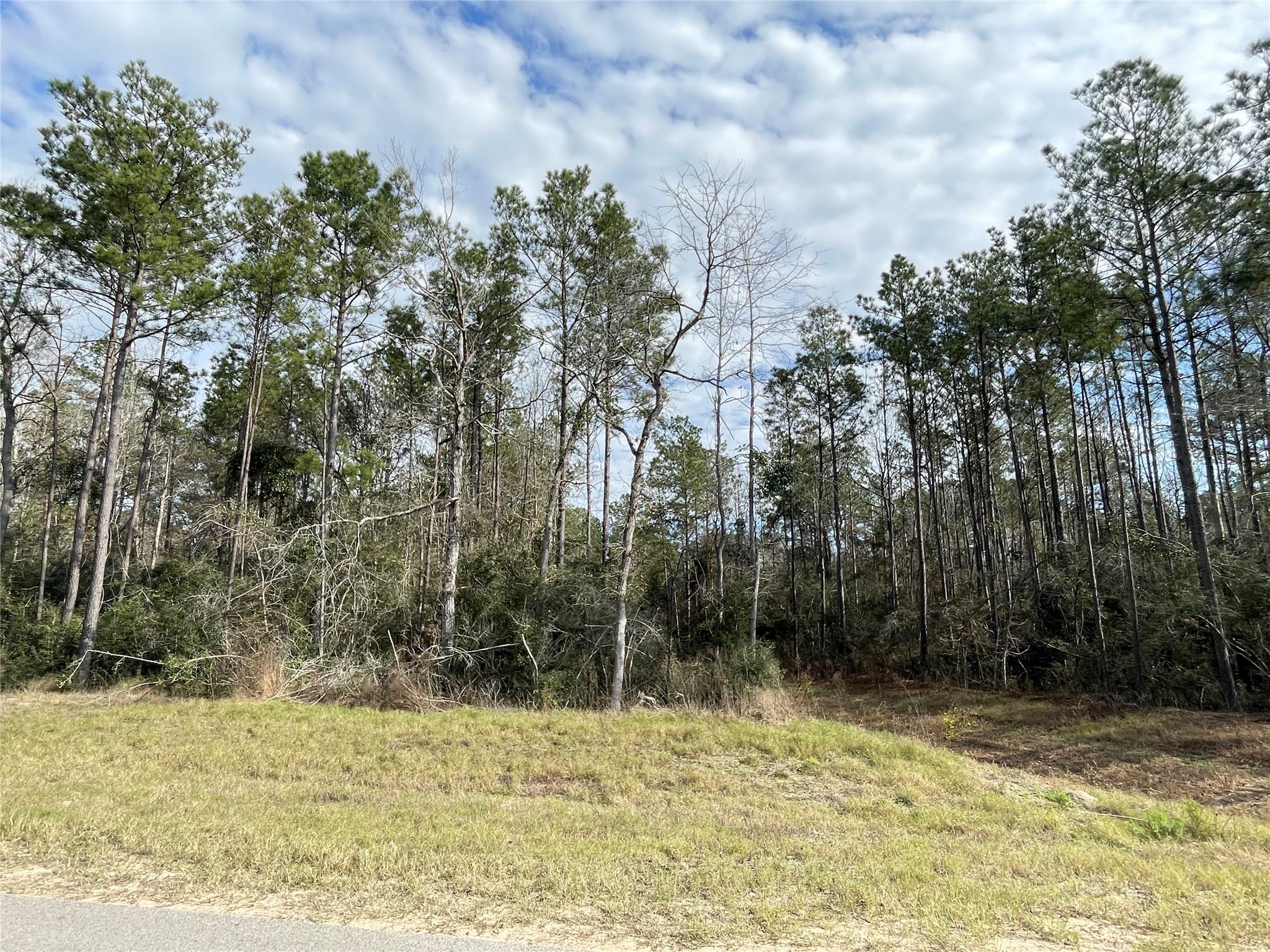 10733 Ruger Road