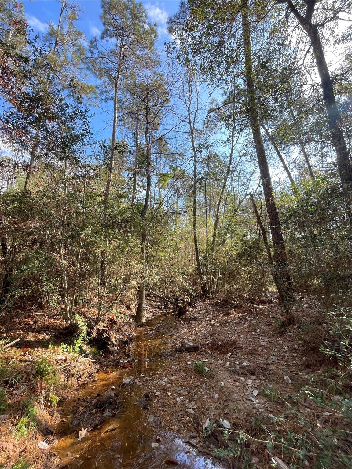 10733 Ruger Road