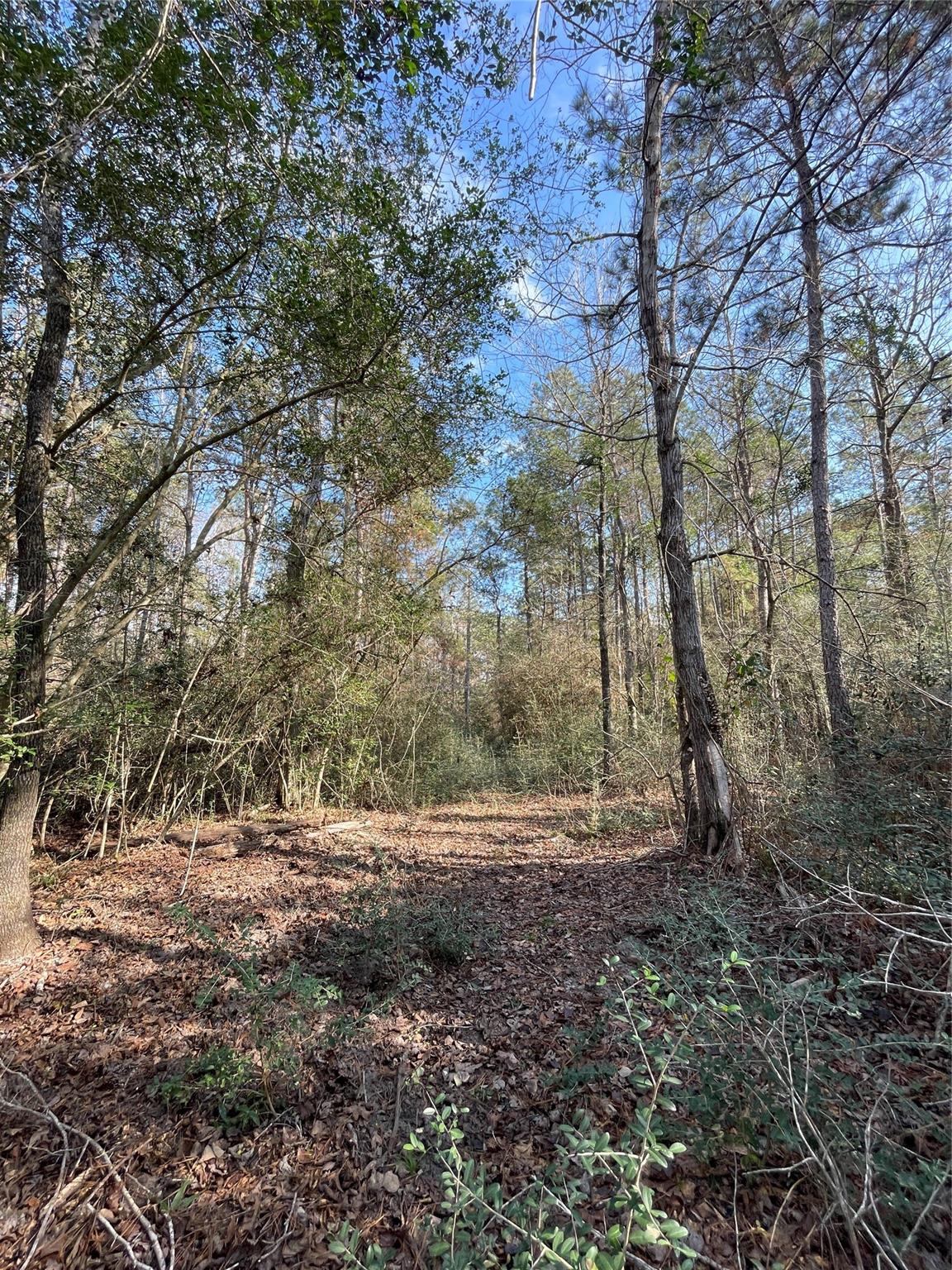 10733 Ruger Road