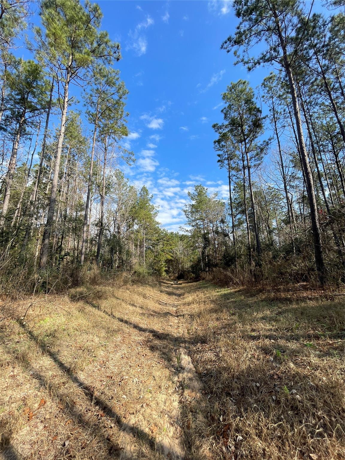 10733 Ruger Road