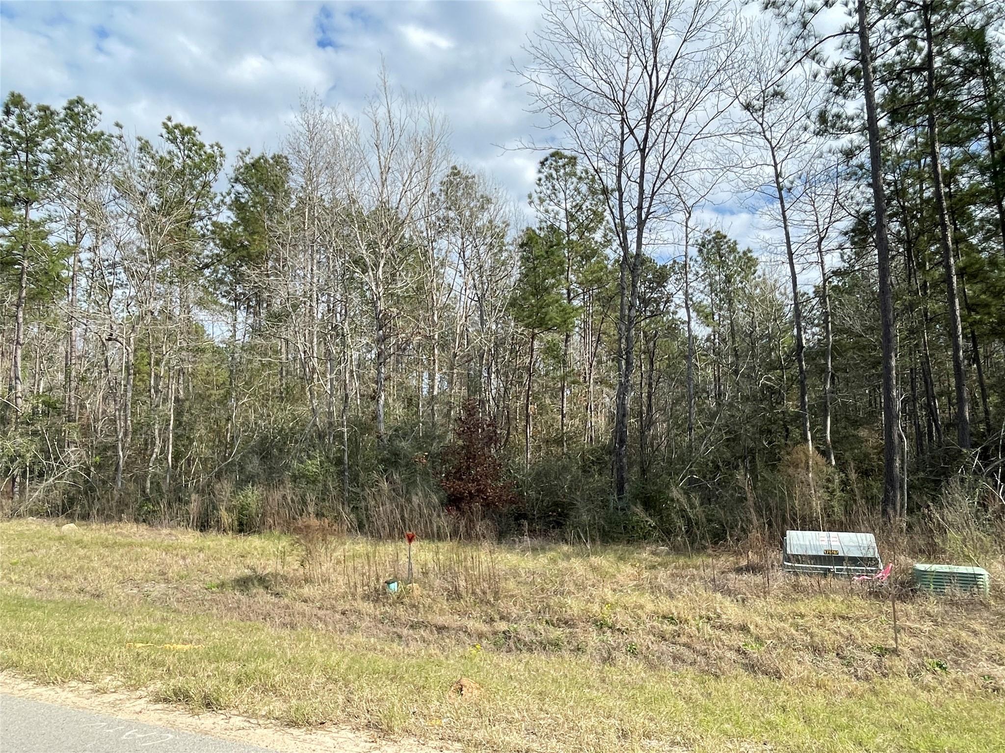 10733 Ruger Road