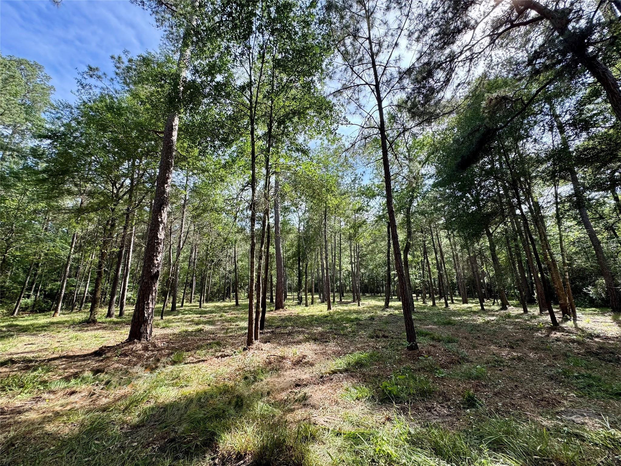 13a-1-1 Texas Grand Road